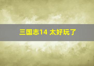 三国志14 太好玩了